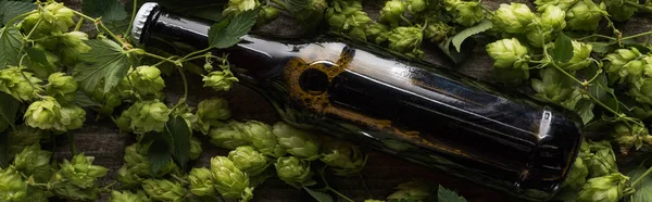 Top view of beer in brown bottle near green hop on wooden background, panoramic shot — Stock Photo