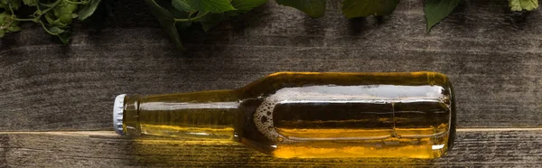 Top view of fresh beer in glass bottle on wooden background, panoramic shot — Stock Photo