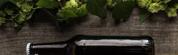 Vista superior de la cerveza en botella marrón cerca de lúpulo sobre fondo de madera, plano panorámico — Stock Photo