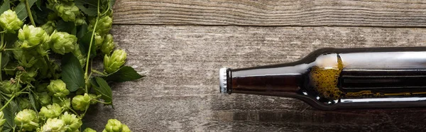 Top view of bottled beer near green hop on wooden background, panoramic shot — Stock Photo