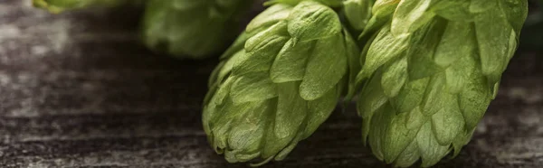 Vue rapprochée du houblon vert bio sur table en bois, panoramique — Photo de stock