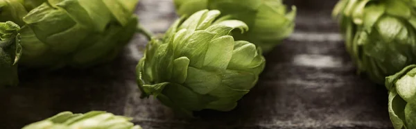 Close up view of natural green hop on wooden table, panoramic shot — Stock Photo