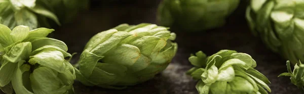 Close up view of natural green hop on wooden table, panoramic shot — Stock Photo