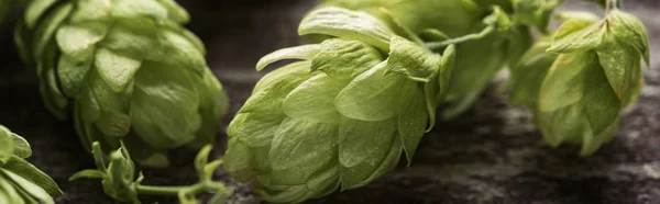 Nahaufnahme von frischem grünen Hopfen auf Holztisch, Panoramaaufnahme — Stockfoto