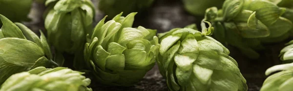 Close up view of green hop on wooden table, panoramic shot — Stock Photo