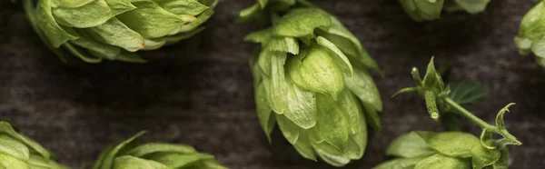 Close up view of green hop on wooden table, panoramic shot — Stock Photo