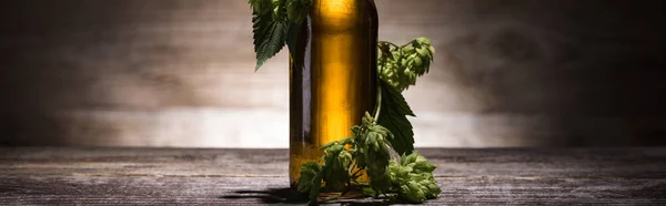 Birra in bottiglia con luppolo verde sul tavolo di legno al buio con retroilluminazione, scatto panoramico — Foto stock