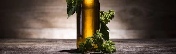 Bottled beer with green hop on wooden table in darkness with back light, panoramic shot — Stock Photo