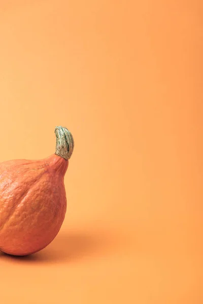 Reife frische Kürbisse auf orangefarbenem Hintergrund — Stockfoto