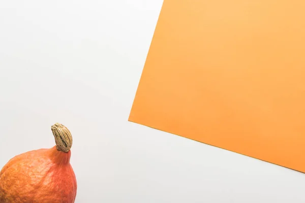 Vue de dessus de citrouille sur fond blanc et orange — Photo de stock