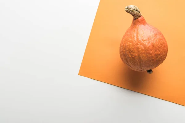 Top view of ripe pumpkin on white and orange background — Stock Photo