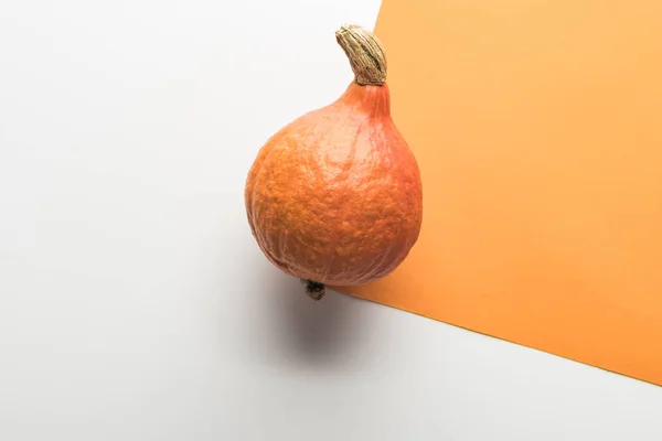 Top view of pumpkin on white and orange background — Stock Photo
