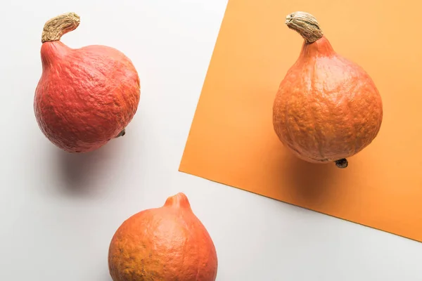 Верхний вид спелых тыкв на белом и оранжевом фоне — стоковое фото