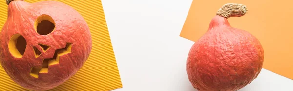 Colpo panoramico di zucca spettrale intagliata su sfondo bianco e arancione — Foto stock
