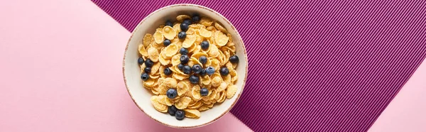 Draufsicht auf Schüssel mit Frühstückszerealien und Blaubeeren auf violettem und rosa Hintergrund, Panoramaaufnahme — Stockfoto