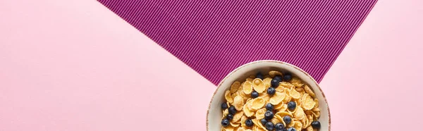 Vista superior da tigela com cereais café da manhã e mirtilo em fundo roxo e rosa, tiro panorâmico — Fotografia de Stock