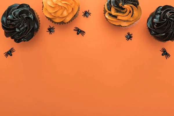 Top view of delicious Halloween cupcakes with spiders on orange background with copy space — Stock Photo