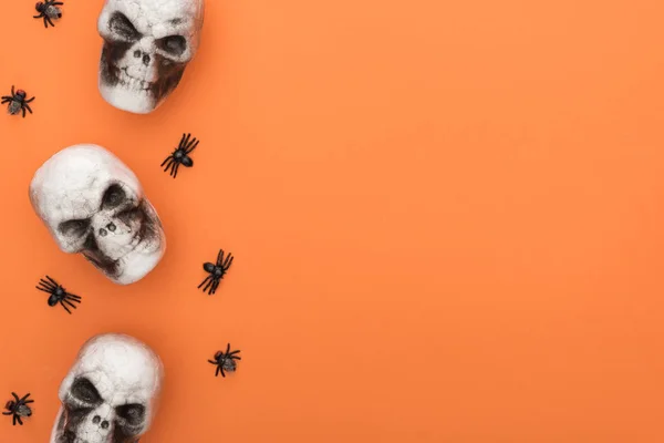 Top view of decorative skulls and spiders on orange background with copy space — Stock Photo