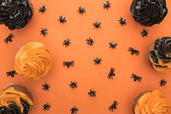 Top view of delicious Halloween cupcakes with spiders on orange background — Stock Photo