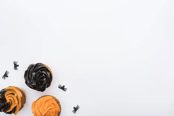 Vista superior de deliciosos cupcakes de Halloween con arañas aisladas en blanco - foto de stock