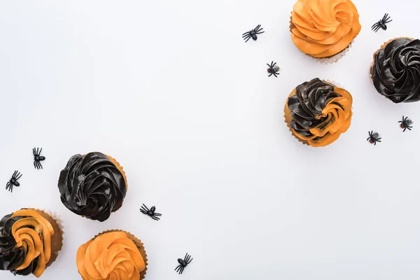 Draufsicht auf köstliche Halloween-Cupcakes mit Spinnen und Totenköpfen isoliert auf weiß mit Kopierraum — Stockfoto