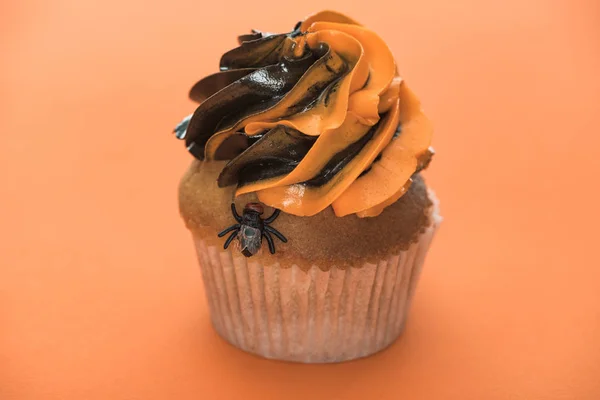 Scary Halloween cupcake with fly on orange background — Stock Photo