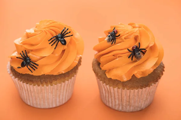 Sabrosos cupcakes de Halloween con arañas sobre fondo naranja - foto de stock