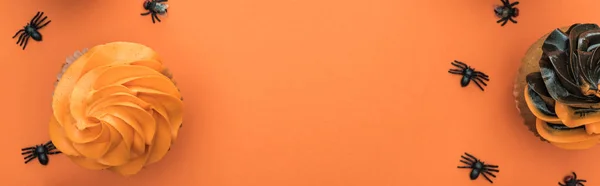 Draufsicht auf köstliche Halloween-Cupcakes mit Spinnen auf orangefarbenem Hintergrund mit Kopierraum, Panoramaaufnahme — Stockfoto