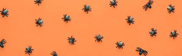 Vista superior de aranhas assustadoras no fundo laranja, tiro panorâmico — Fotografia de Stock