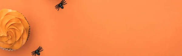 Draufsicht auf köstlichen Halloween-Cupcake mit Spinnen auf orangefarbenem Hintergrund mit Kopierraum, Panoramaaufnahme — Stockfoto