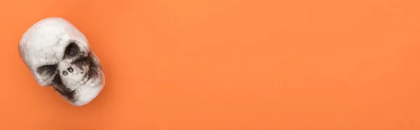 Draufsicht auf dekorativen Schädel auf orangefarbenem Hintergrund mit Kopierraum, Panoramaaufnahme — Stockfoto