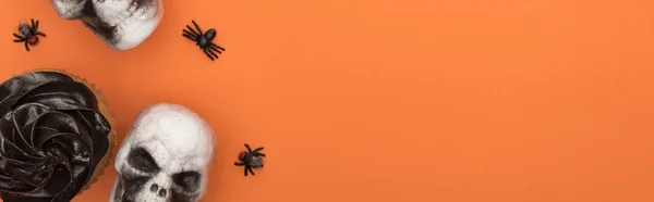 Top view of cupcake, decorative skulls and spiders on orange background with copy space, panoramic shot — Stock Photo