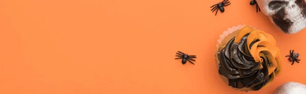 Top view of cupcake, decorative skull and spiders on orange background with copy space, panoramic shot — Stock Photo