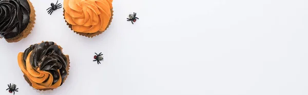 Draufsicht auf köstliche Halloween-Cupcakes mit Spinnen auf weißem Hintergrund mit Kopierraum, Panoramaaufnahme — Stockfoto