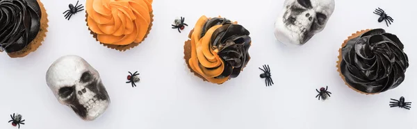 Вид зверху смачні кекси на Хеллоуїн з павуками та черепами на білому тлі з місцем для тексту, панорамний знімок — стокове фото