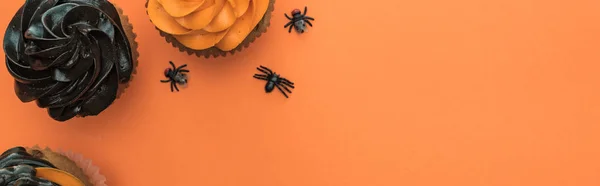 Vista dall'alto di deliziosi cupcake di Halloween con ragni su sfondo arancione con spazio copia, scatto panoramico — Foto stock