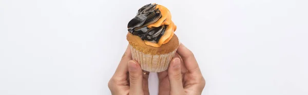 Partial view of woman holding delicious Halloween cupcake isolated on white, panoramic shot — Stock Photo