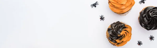 Vue de dessus de délicieux cupcakes d'Halloween avec des araignées isolées sur blanc, vue panoramique — Photo de stock