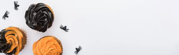 Vue de dessus de délicieux cupcakes d'Halloween avec des araignées isolées sur blanc, vue panoramique — Photo de stock