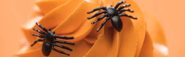 Крупним планом вид на моторошний кекс на Хеллоуїн з павуками на кремі ізольований на апельсині, панорамний знімок — стокове фото