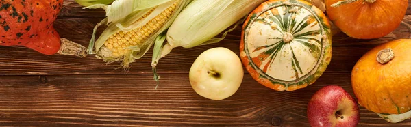 Plano panorámico de maíz dulce crudo, calabazas y manzanas en la superficie de madera marrón - foto de stock