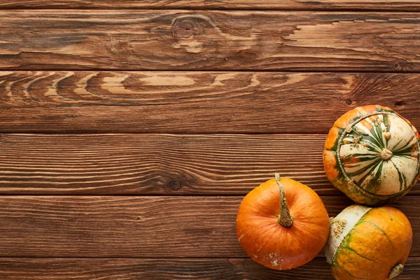 Top view of raw small pumpkins on brown wooden surface — Stock Photo