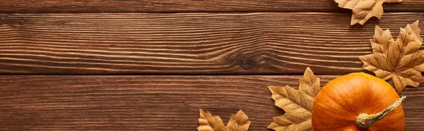 Tiro panorâmico de pequena abóbora na superfície de madeira marrom com folhas de outono secas — Fotografia de Stock