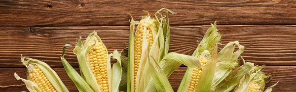 Panoramic shot of raw sweet corn on wooden surface — Stock Photo