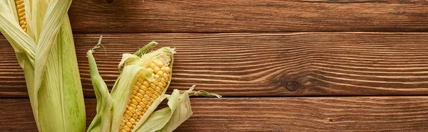 Panoramic shot of raw sweet corn on wooden surface with copy space — Stock Photo