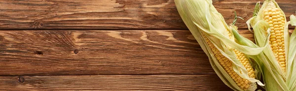 Панорамний знімок сирої солодкої кукурудзи на коричневій дерев'яній поверхні з копіювальним простором — стокове фото