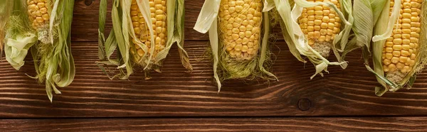 Panoramic shot of fresh corn on brown wooden surface with copy space — Stock Photo