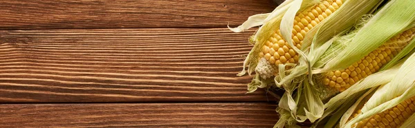 Panoramic shot of ripe sweet corn on brown wooden surface — Stock Photo