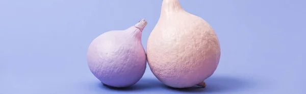 Panoramic shot of painted pink and violet pumpkins on violet background — Stock Photo