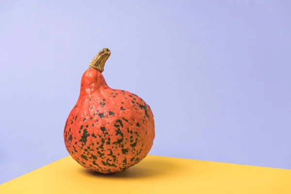 Calabaza naranja sobre fondo violeta y amarillo - foto de stock